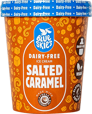 Dairy Free Ice Cream - Salted Caramel